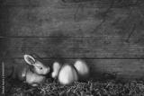 preview bw