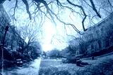 preview cold