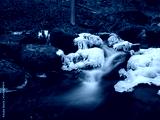 preview cold