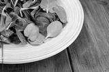 preview bw