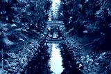 preview cold