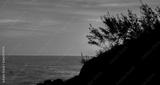 preview bw