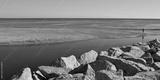 preview bw