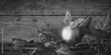 preview bw