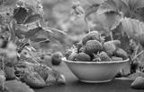 preview bw
