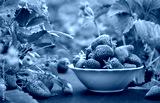 preview cold