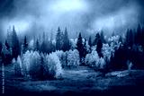 preview cold