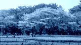 preview cold