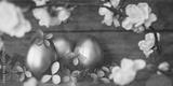 preview bw