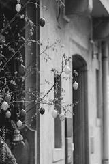 preview bw