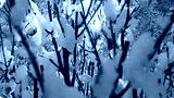 preview cold