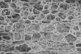 preview bw