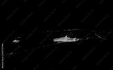 preview bw