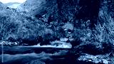 preview cold