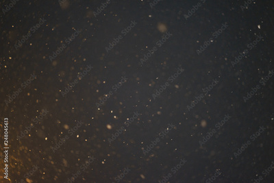 image to crop