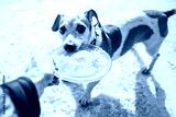 preview cold