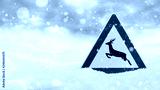 preview cold