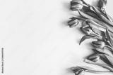 preview bw