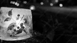 preview bw