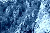 preview cold