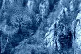 preview cold