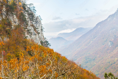 image to crop