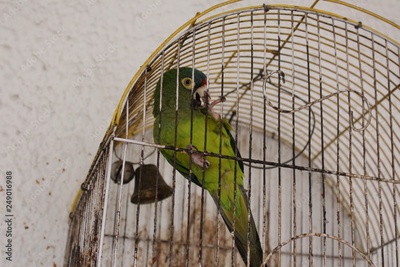 image to crop