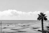 preview bw