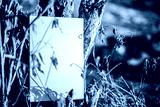 preview cold
