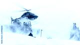 preview cold
