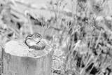 preview bw
