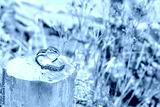 preview cold