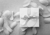preview bw