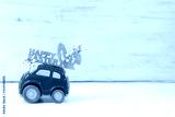preview cold