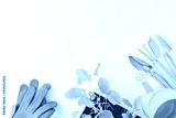 preview cold