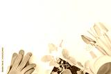 preview sephia