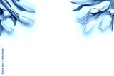 preview cold