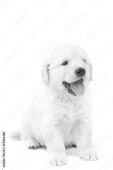 preview bw