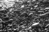 preview bw