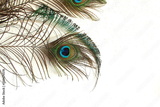 preview original