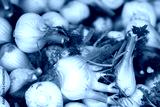 preview cold