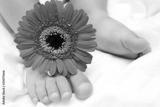 preview bw