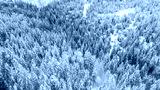 preview cold