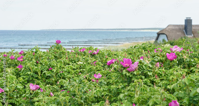 image to crop