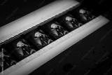 preview bw