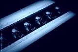 preview cold