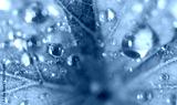 preview cold