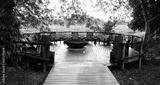 preview bw