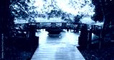 preview cold