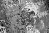 preview bw